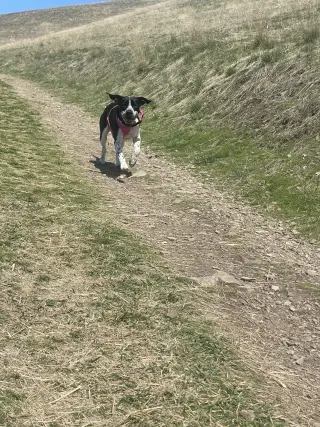 Mo
