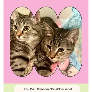 Coco Twins