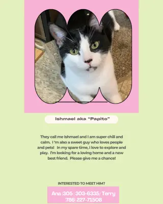 Ishmael aka Papito
