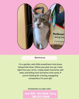Bethany