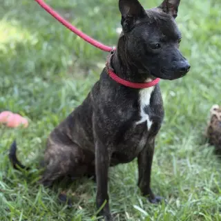 Zeus
