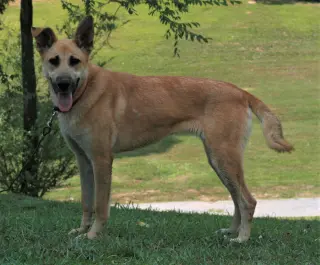 Skye