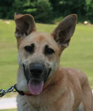 Skye