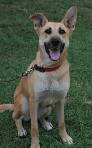 Skye