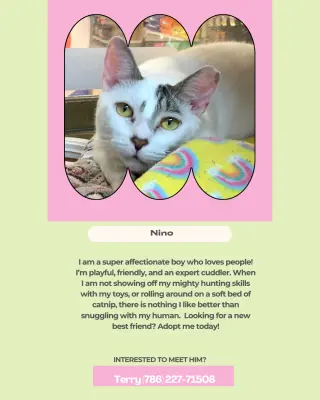 Nino