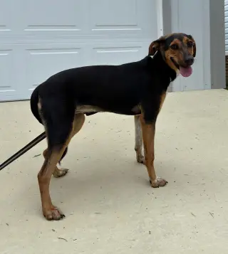 Ruby