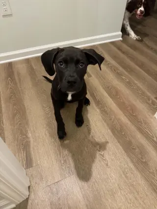 Nora