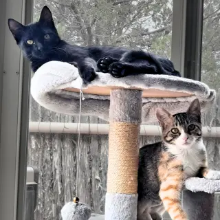 Miss Hazel [and Alex]