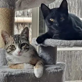 Alex [and Miss Hazel]