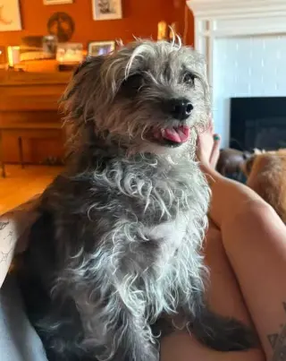 Luna