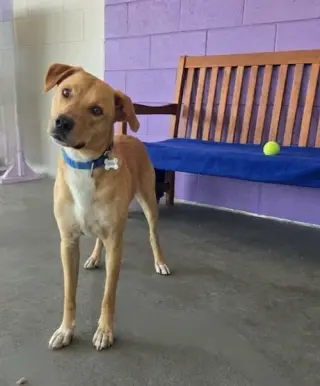 **TUCKER**