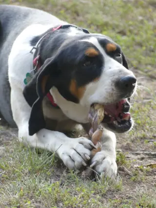 Daisy May - Sponsored!
