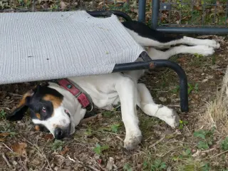 Daisy May - Sponsored!