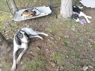 Daisy May - Sponsored!