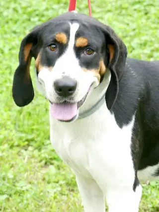 Daisy May - Sponsored!