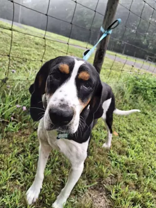 Daisy May - Sponsored!