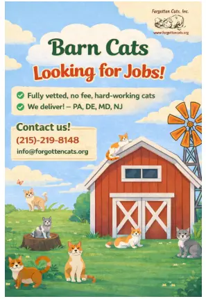 Teddy: Barn Cat (FCID# 07/27/2026 - 50 Trainer)