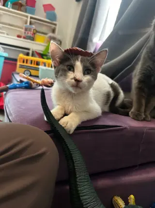 Princess Spot