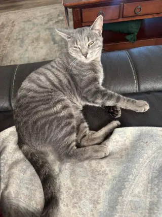 Lilly