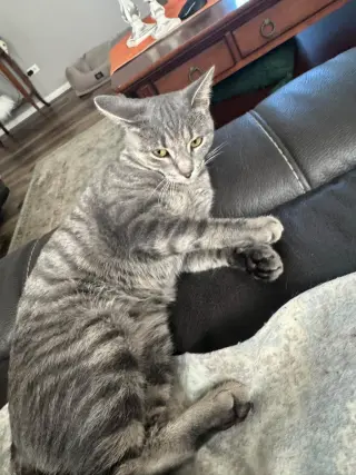 Lilly
