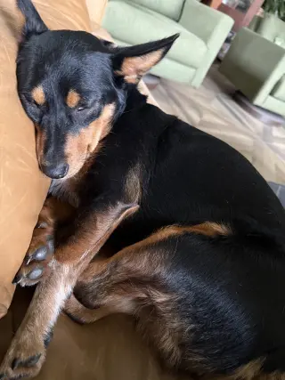 Minnie Mouse