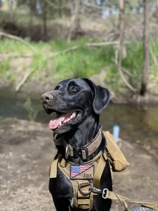 Jax