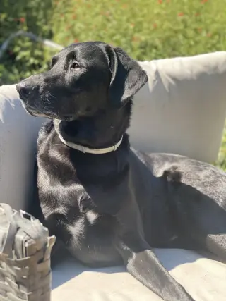 Jax
