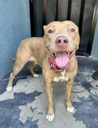 Winnie