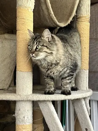 Esther