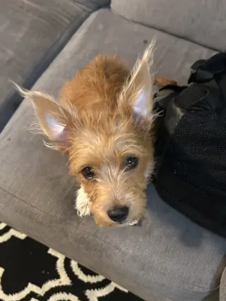 Max