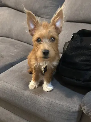 Max