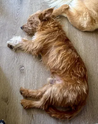 Max