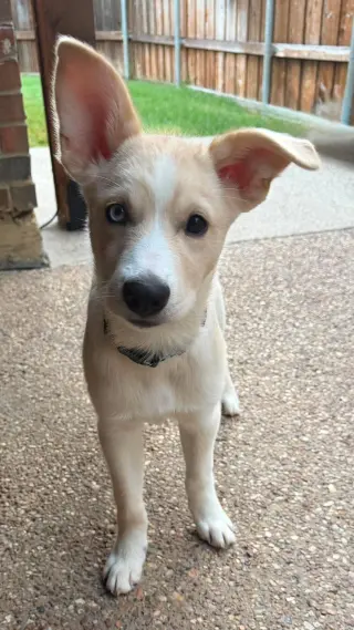Murphy