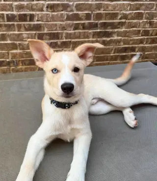 Murphy