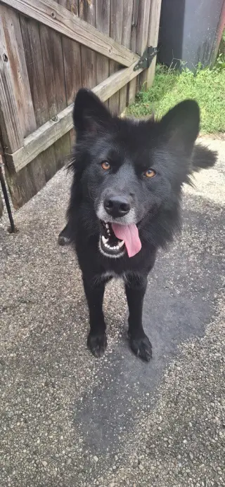 Tucker Boy