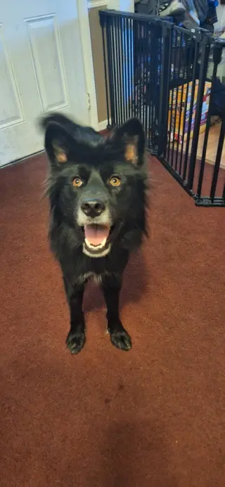 Tucker Boy