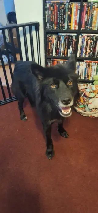 Tucker Boy