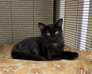 Tina