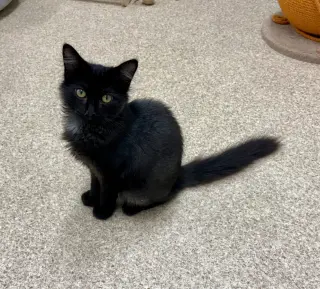 Tina