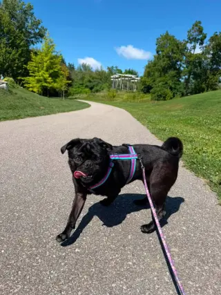 Peggy