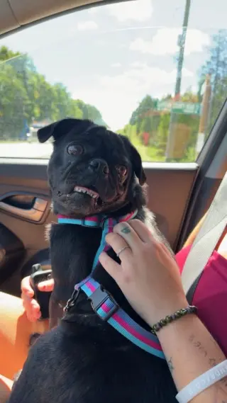 Peggy