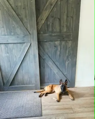 Nacho - Located in Georgia