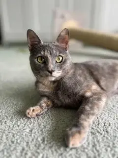 Galila