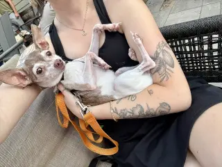 Bambi