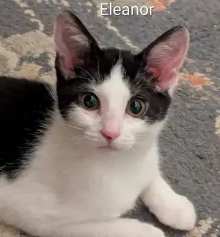 Eleanor