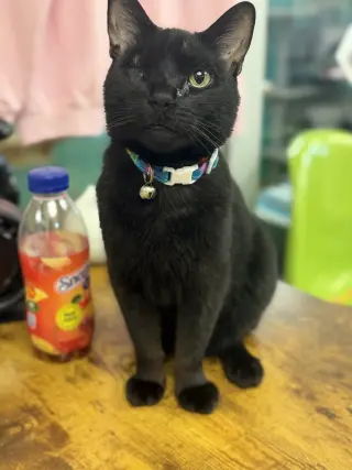Marty Very Nice