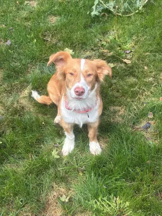 Murphy