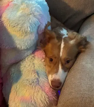 Murphy