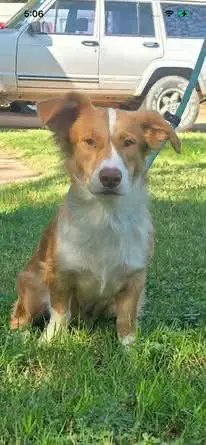 Murphy
