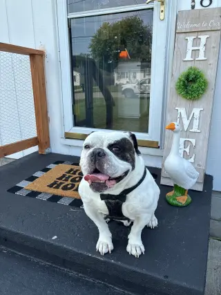 Chunk COURTESY POST